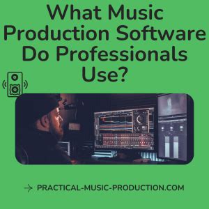 What Music Production Software Do Professionals Use: A Detailed Exploration of the Most Popular Tools